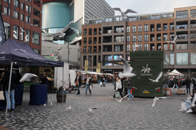 913183 Gezicht op het Vredenburg te Utrecht, tijdens de vrijdagse warenmarkt, met een aantal opvliegende meeuwen.